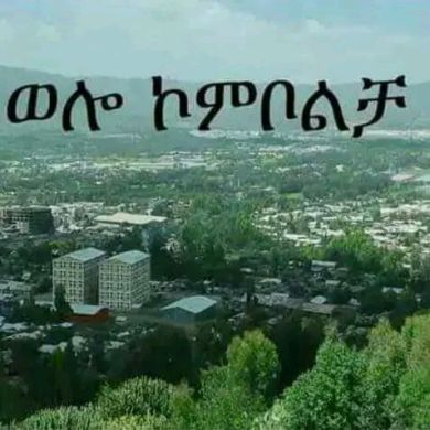 ወሎ ኮምቦልቻ Profile Picture