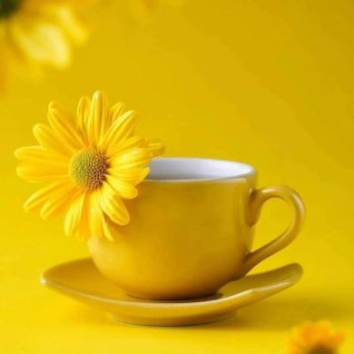 Бекажон Бекажон Profile Picture