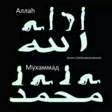 Хасан Кароров Profile Picture