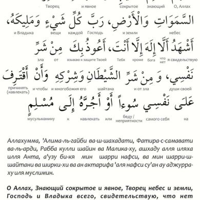 Aisha Asadulaeva Profile Picture