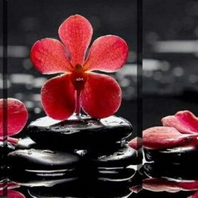 Umm Maryam Profile Picture