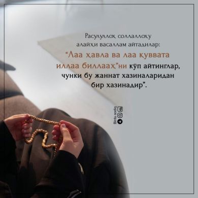 Husniya Salimova Profile Picture