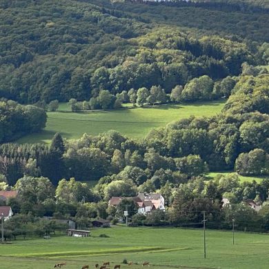 Ali Джанбатыров Profile Picture