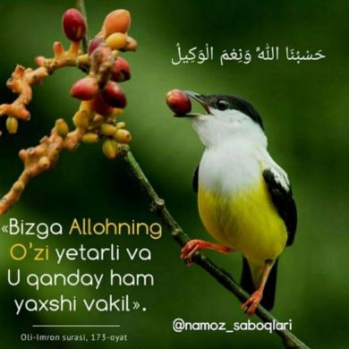 Акмал Юсуф угли