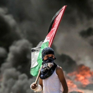 Bashariyat Profile Picture