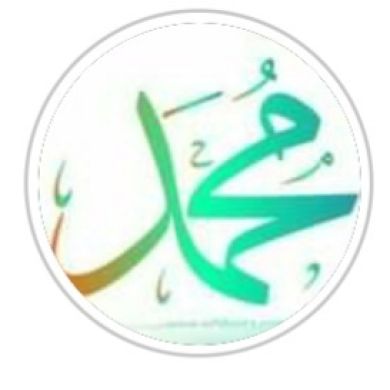 Магомедов Магомед profile picture