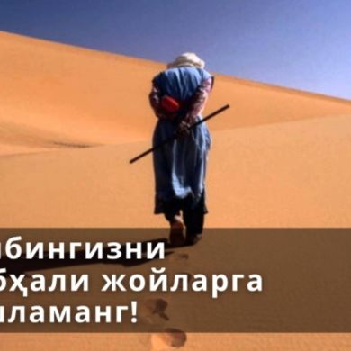 Alişer Er Muhammad profile picture