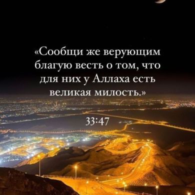 haizzakura Profile Picture