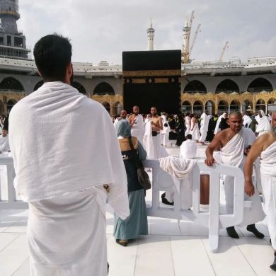 gencmucahid Profile Picture