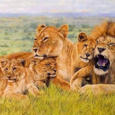 Нишанов Тулкинжон