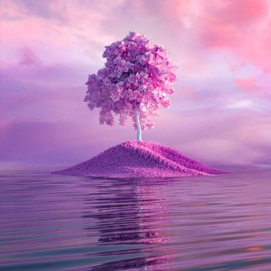 Bintu Neʼmat Profile Picture