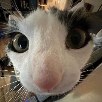 krbdnk Profile Picture