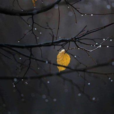 umma17112002 Profile Picture