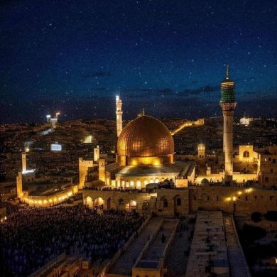 Behzodkhoja Nigmatkhojayev Profile Picture