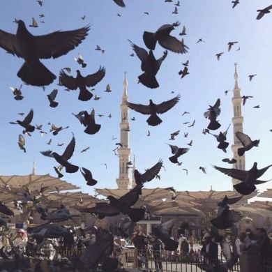 reem salouss Profile Picture