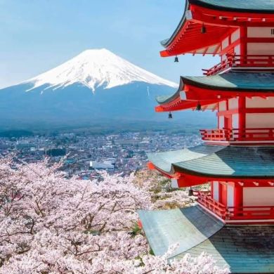 Ahmadullo Abdullajonov Profile Picture