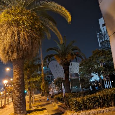 Musad Turkestaniy Profile Picture