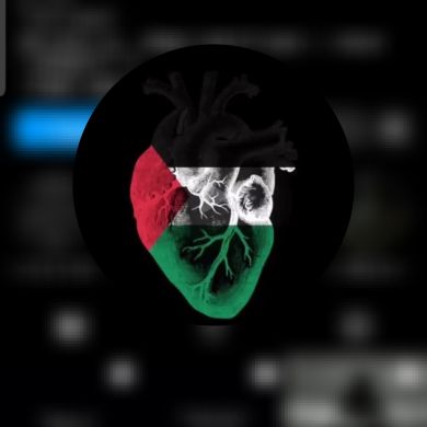 Free Palestine Profile Picture