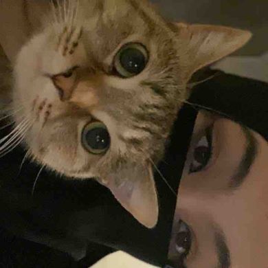 ‎إِرَادَةٌ ᕕ( ᐛ )ᕗ