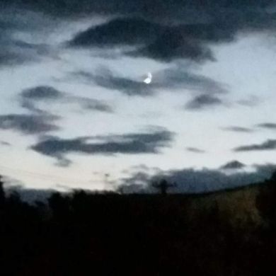 abu Umar Profile Picture