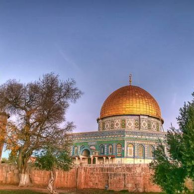 salmon nematulloh Profile Picture