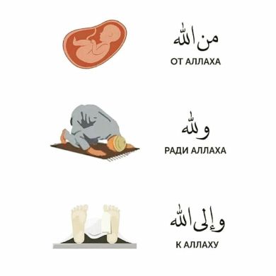 Имом Абуханифа Profile Picture