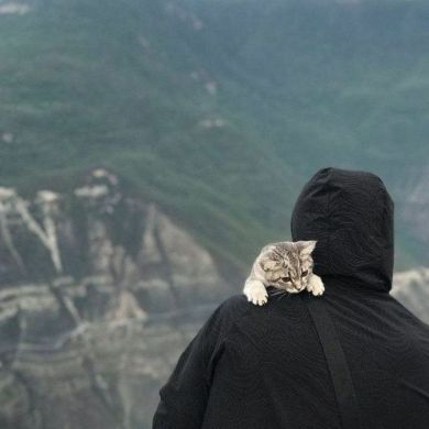 Аскар Рустамов