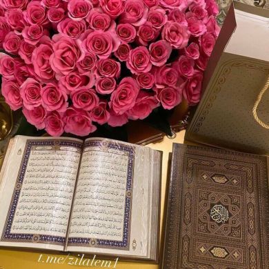 Femorah Profile Picture