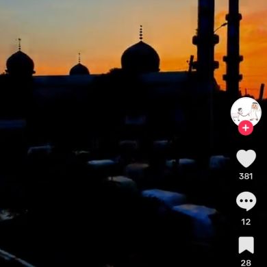 Anwar Shiferaw Profile Picture