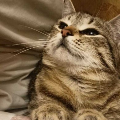 Фатима Имамова Profile Picture