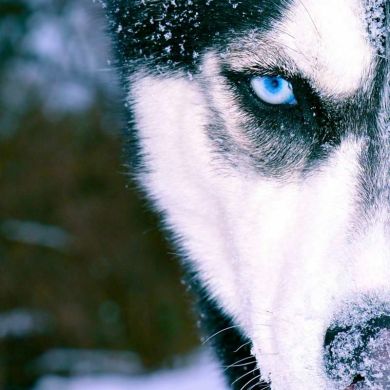 boy on million Profile Picture