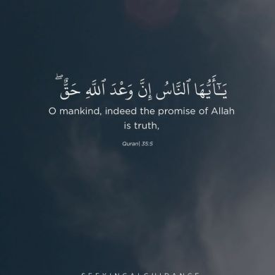 Neima yerdaw Profile Picture