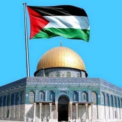 Ahmedsaber Profile Picture