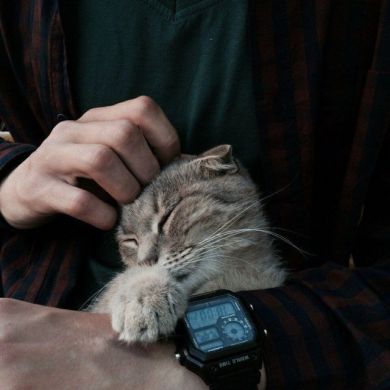 Sardorbek Nurmurotov Profile Picture