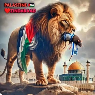 Сарвар Хайдаров Profile Picture