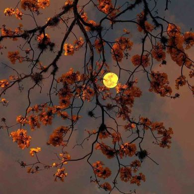 Абдул Гаджиев Profile Picture