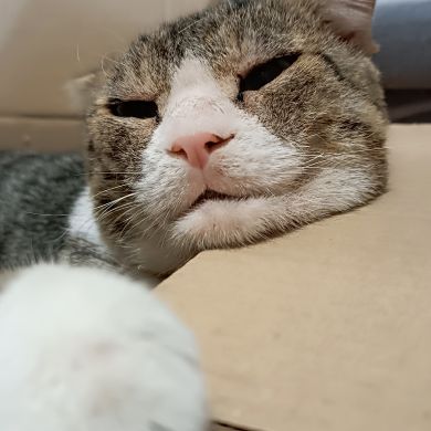 jamal_kiz Profile Picture