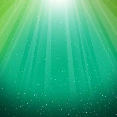 Alisher Salim Profile Picture