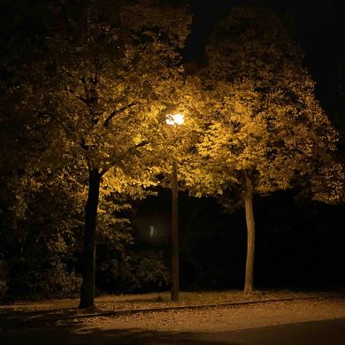 Khasan Abu Ihsan Profile Picture