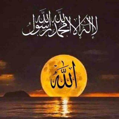 MuhammadZakariyya IbnNurmuhammad Profile Picture