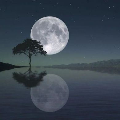 Abdulboriy Muhammadov Profile Picture