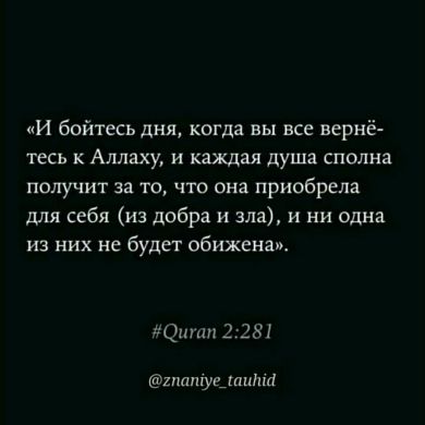 ZAKARIYA51128 Profile Picture