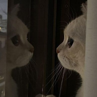 Ilhomjon Rasuljonov Profile Picture