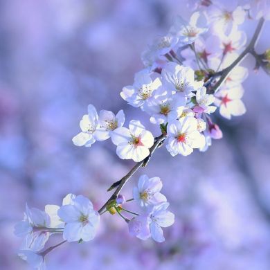 ММУ ........ Profile Picture