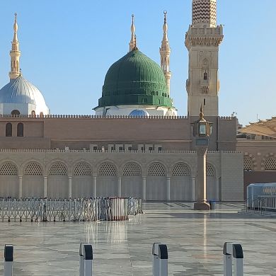 A R A Profile Picture