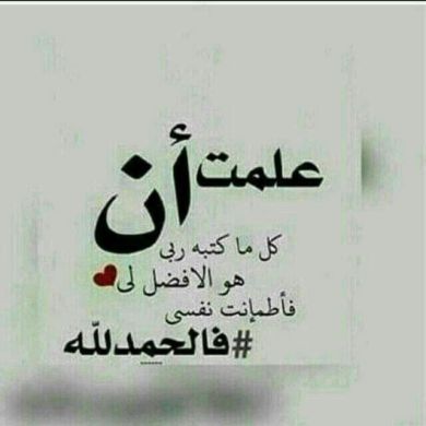 nuseyba Abdelah Profile Picture