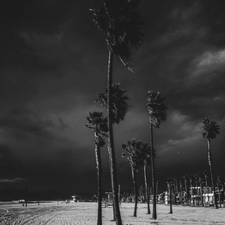 Telegram: Contact @Palma_Jiznl