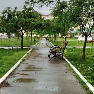 Bilol Muhammad Profile Picture