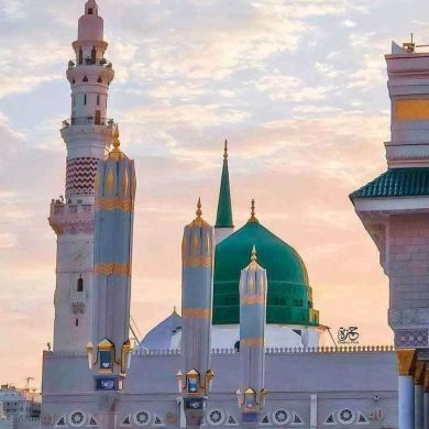 slave of Allah sumeya lo Profile Picture