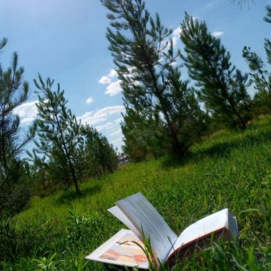 Muhammad Davron Profile Picture